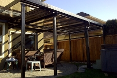 IMG-20120306-00008